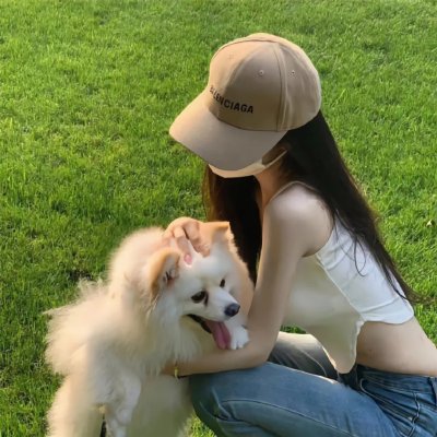 非洲的动物上班族